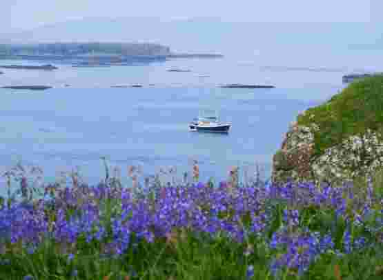 Cruise the Scottish Hebridean Islands